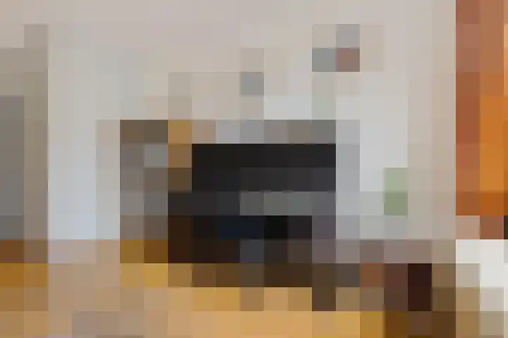 Mondriaanstraat 52 Groningen thumbnail 16