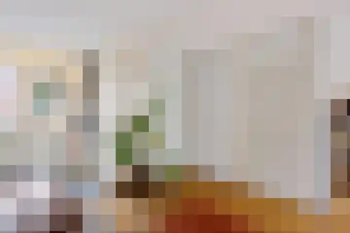 Mondriaanstraat 52 Groningen thumbnail 21