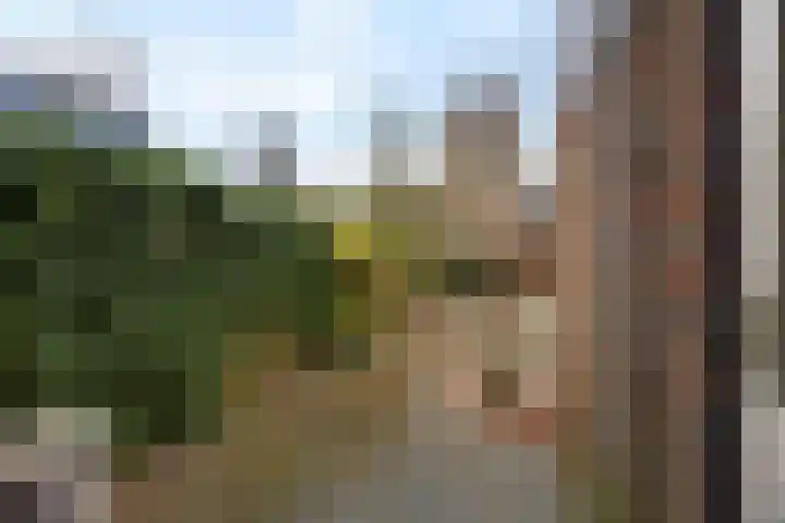 Mondriaanstraat 52 Groningen thumbnail 40