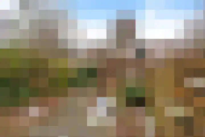 Mondriaanstraat 52 Groningen thumbnail 43
