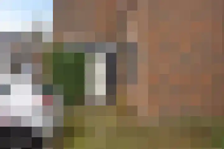 Mondriaanstraat 52 Groningen thumbnail 8