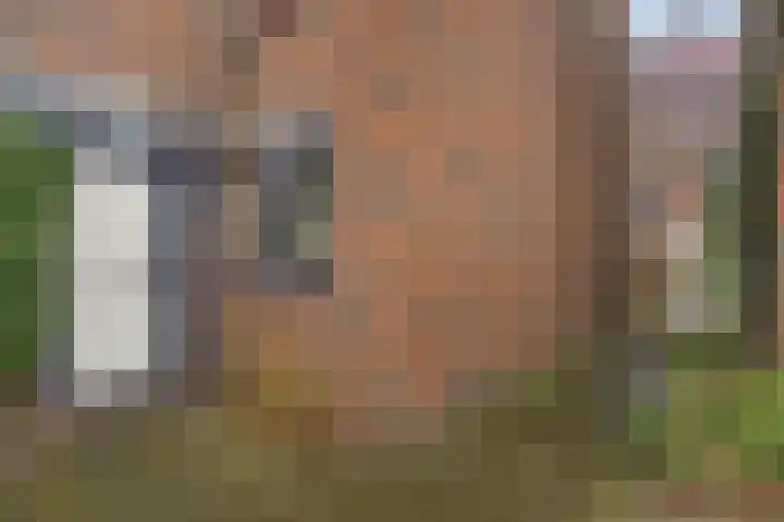 Mondriaanstraat 52 Groningen thumbnail 9
