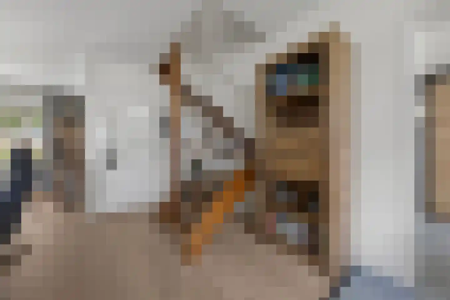 Mondriaanstraat 9 Drunen thumbnail 11