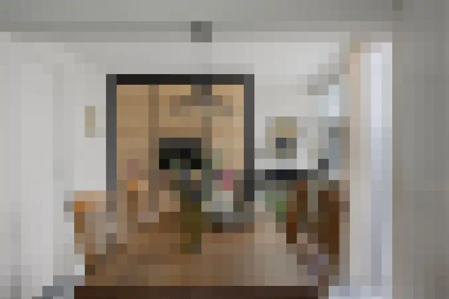Mondriaanstraat 9 Drunen thumbnail 12