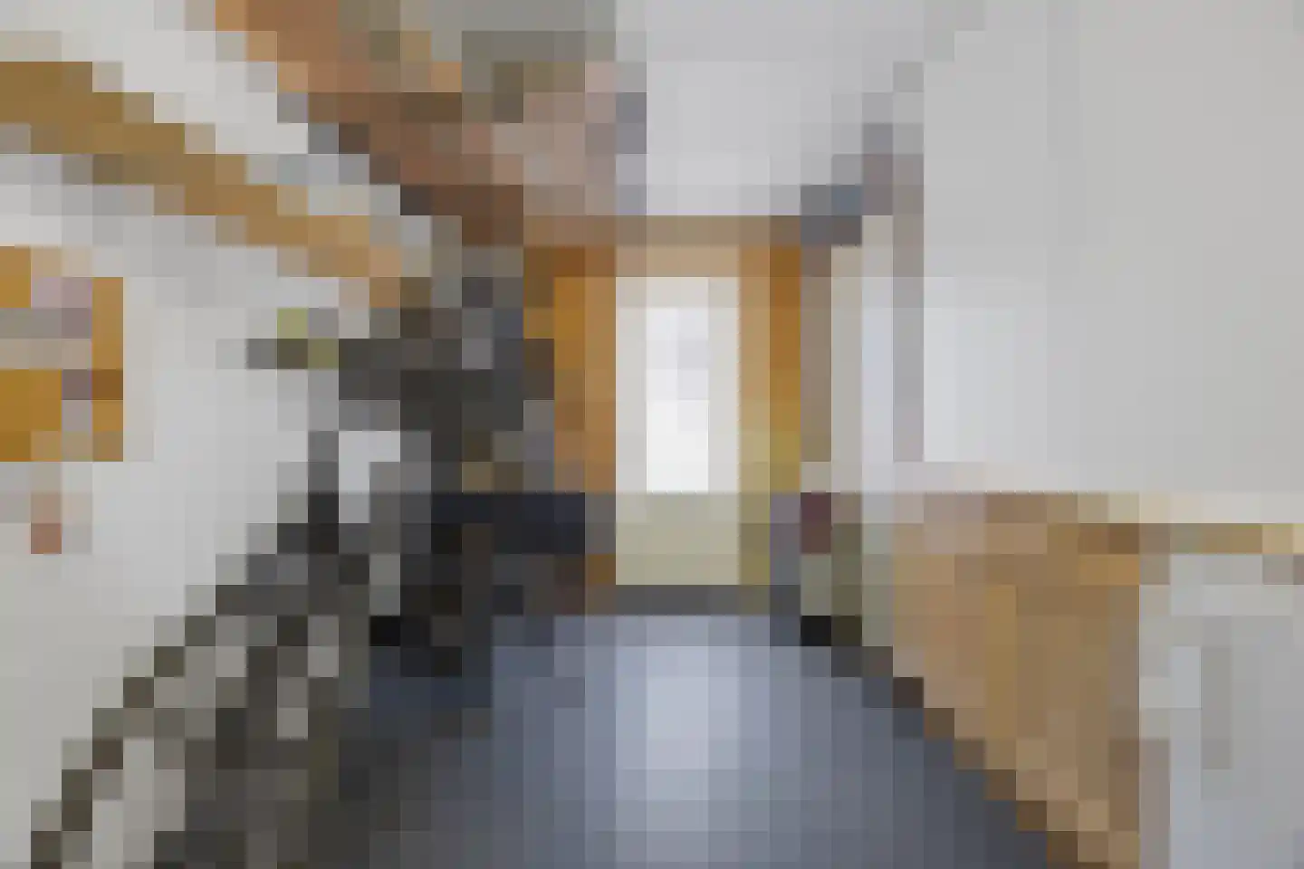 Mondriaanstraat 9 Drunen thumbnail 15