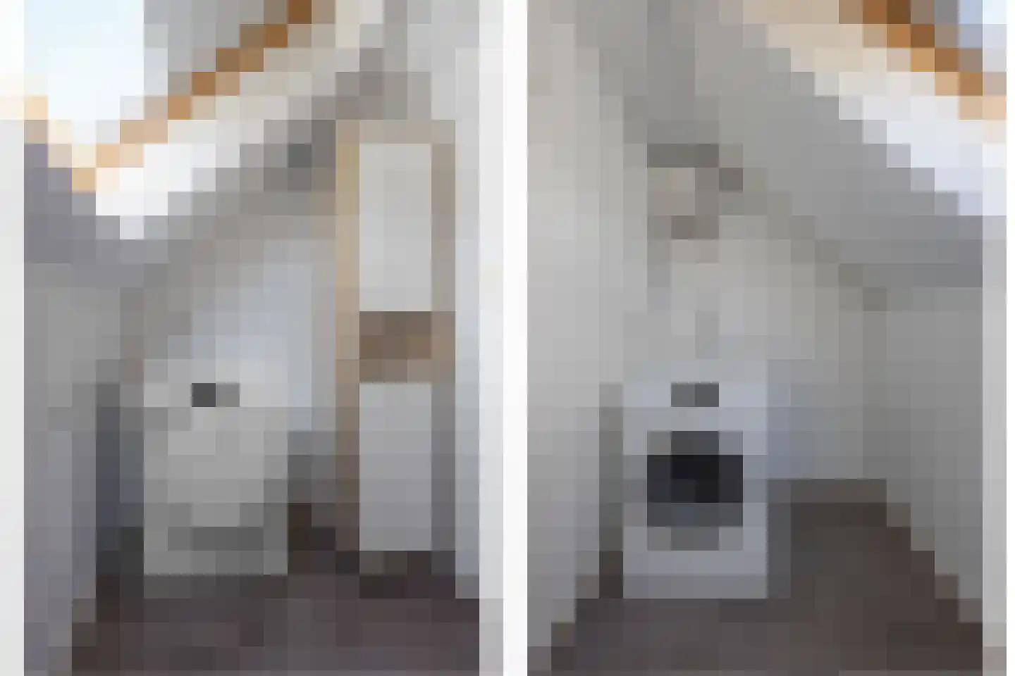 Mondriaanstraat 9 Drunen thumbnail 23