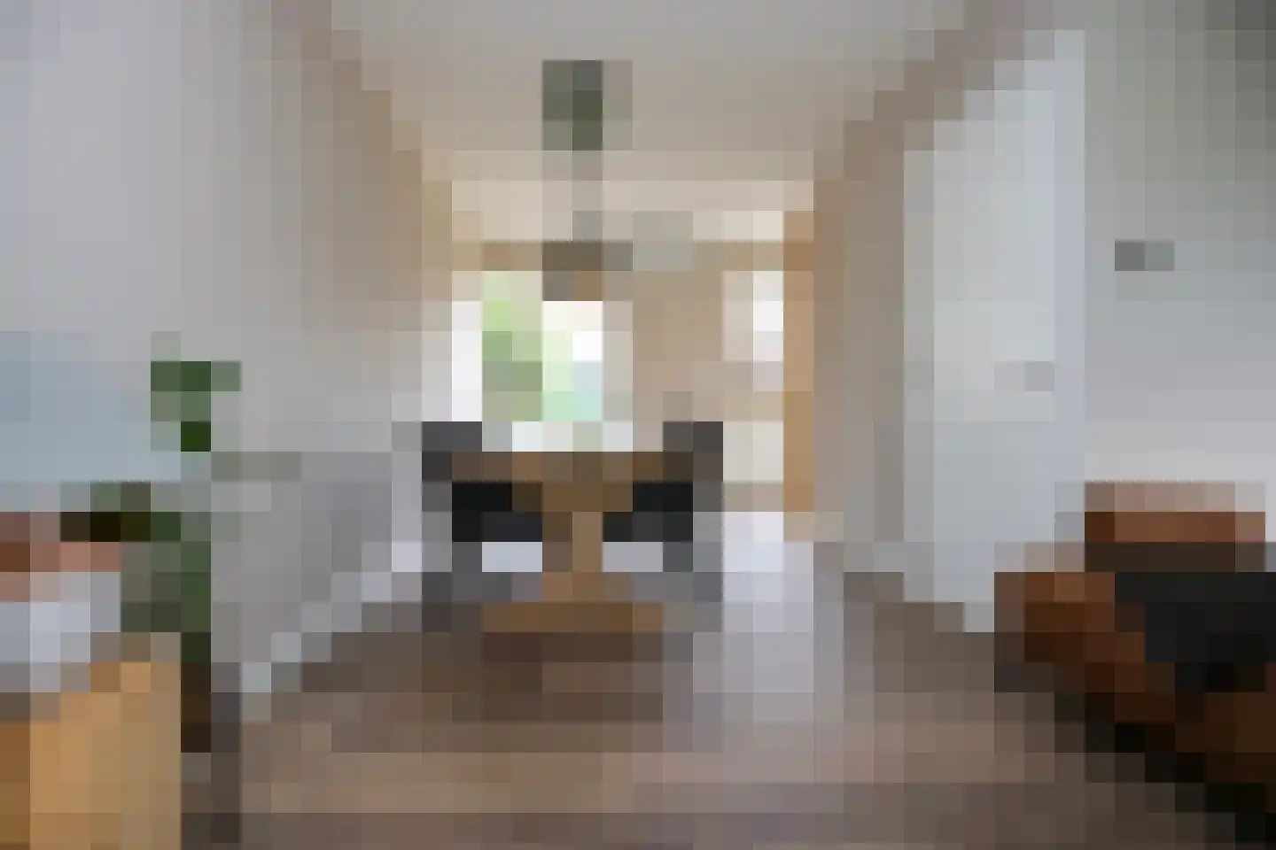 Mondriaanstraat 9 Ede thumbnail 10
