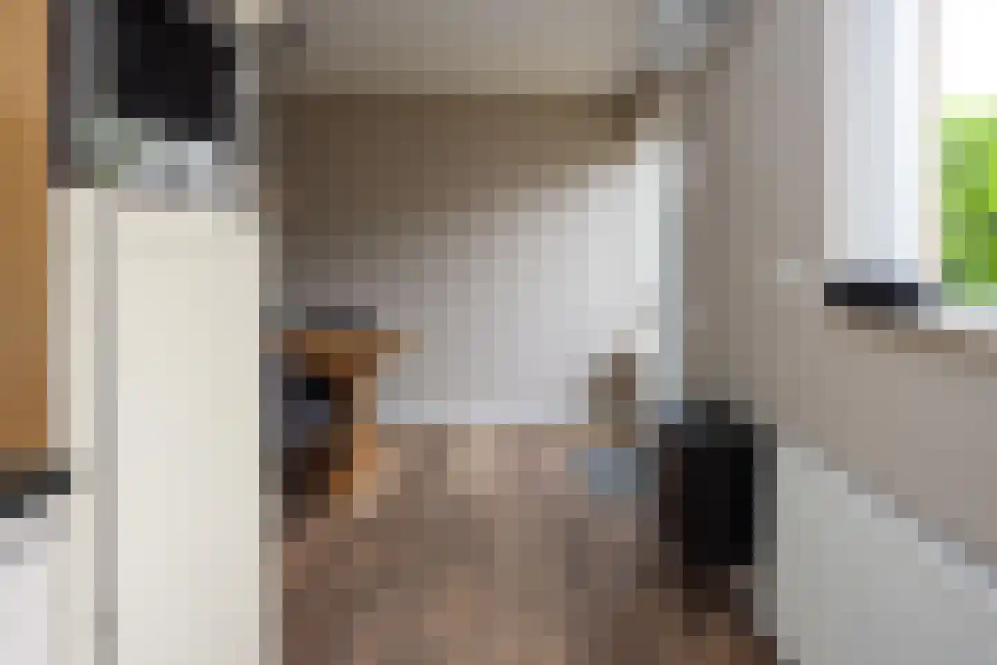 Mondriaanstraat 9 Ede thumbnail 11