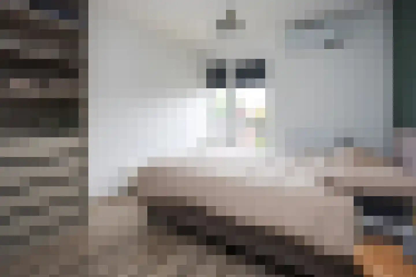 Mondriaanstraat 9 Ede thumbnail 15