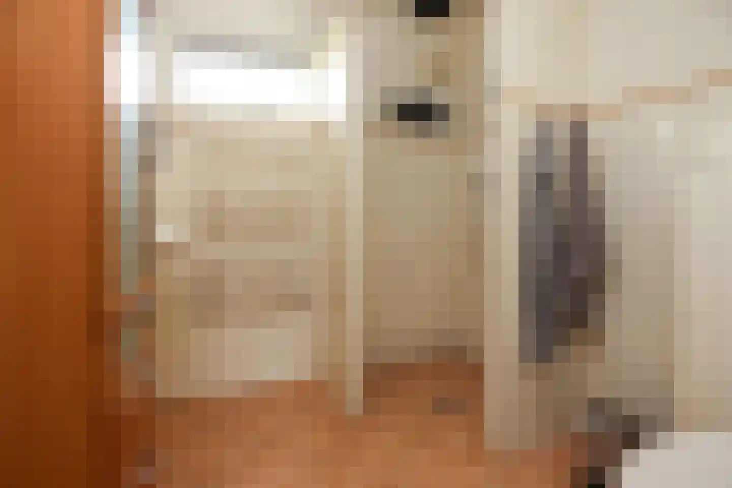 Mondriaanstraat 9 Ede thumbnail 20
