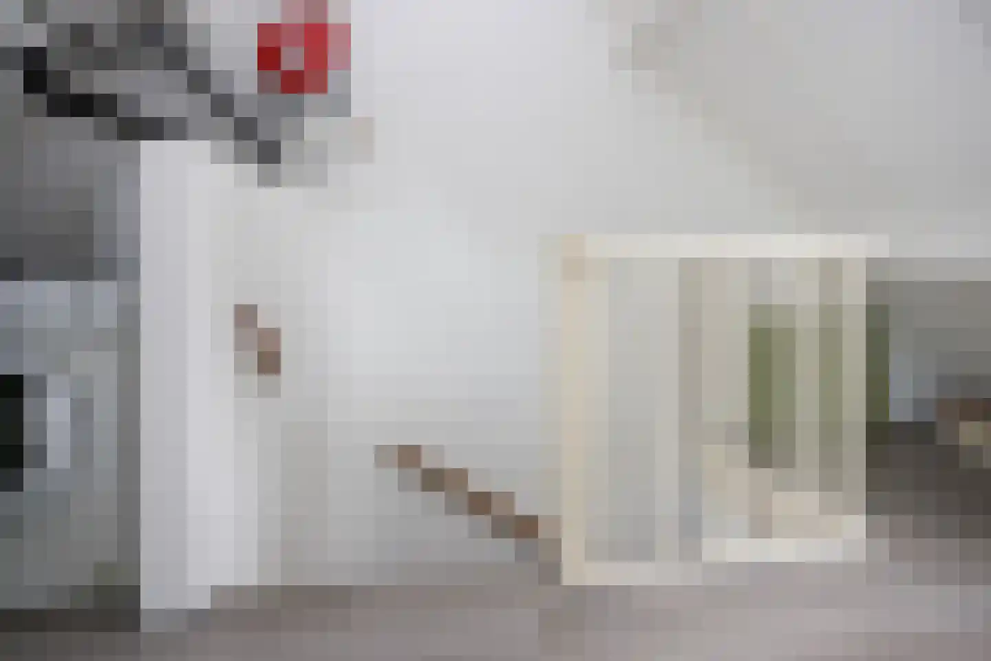 Mondriaanstraat 9 Ede thumbnail 21