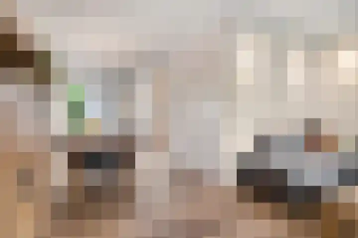 Mondriaanstraat 9 Ede thumbnail 5