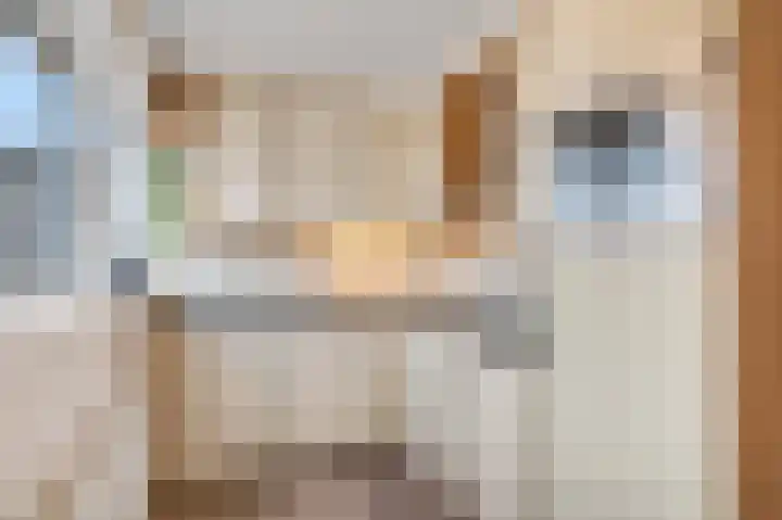 Mondriaanstraat 9 Ede thumbnail 8