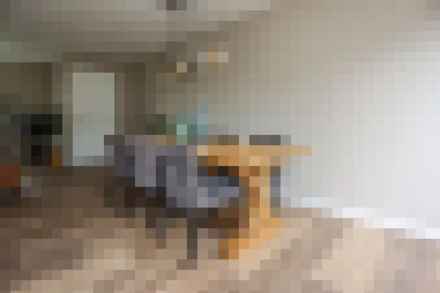 Mondriaanstraat 9 Ede thumbnail 9