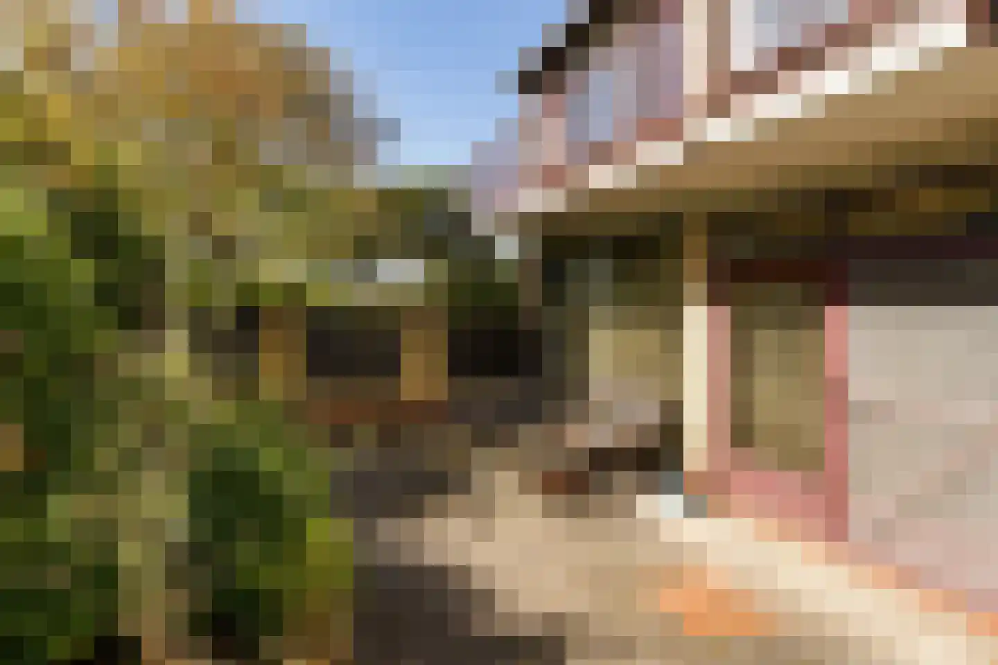 Mondsteen 26 Delfzijl thumbnail 19