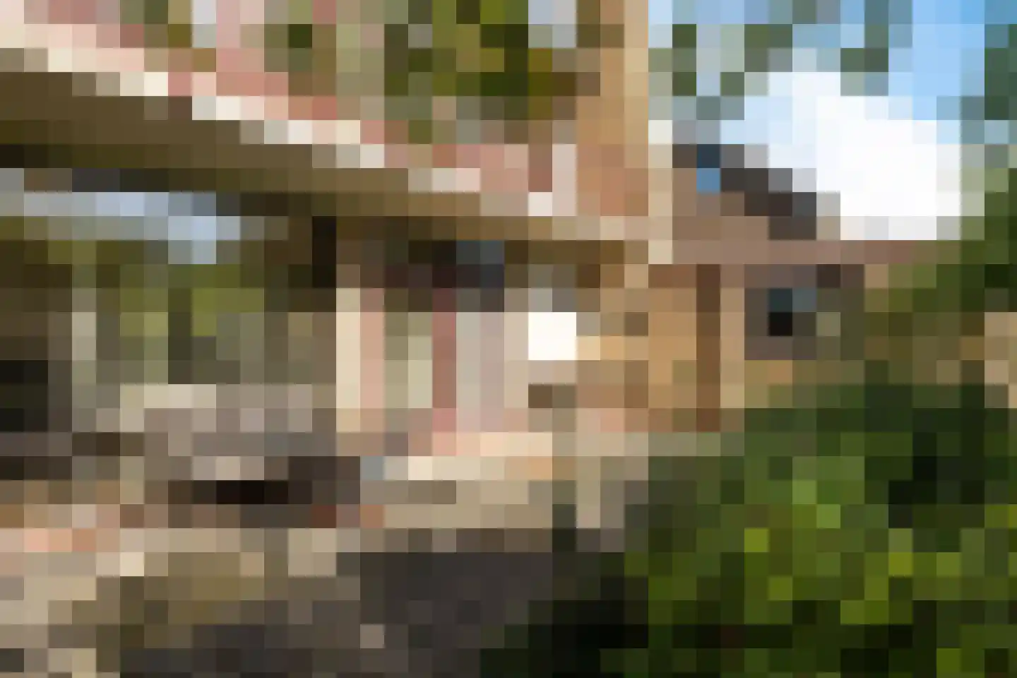 Mondsteen 26 Delfzijl thumbnail 20