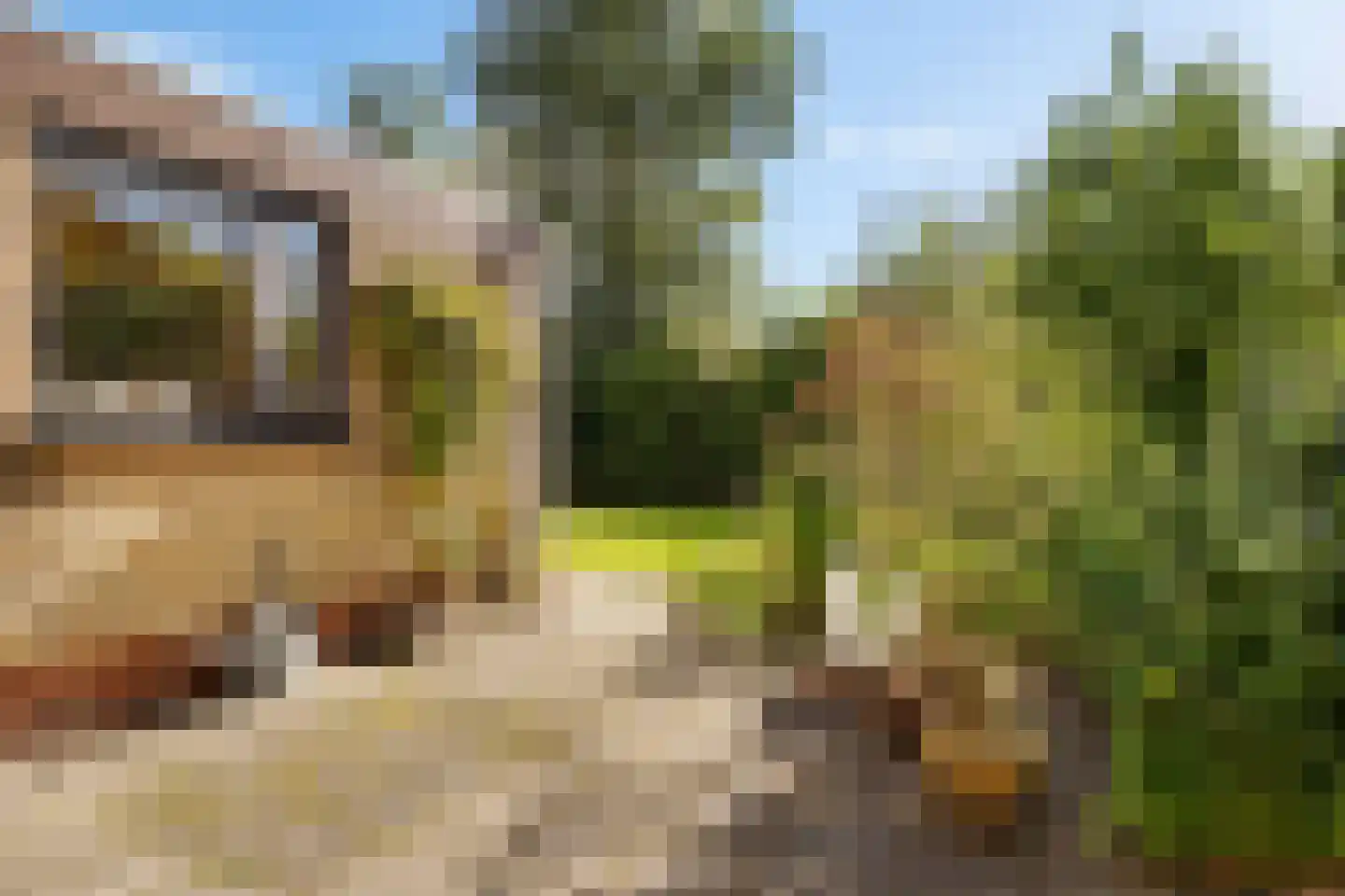 Mondsteen 26 Delfzijl thumbnail 21