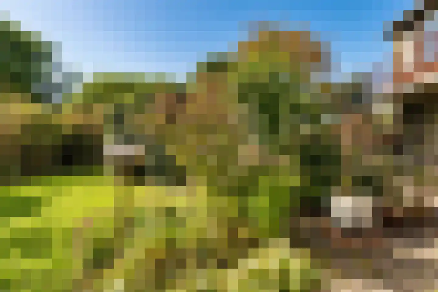 Mondsteen 26 Delfzijl thumbnail 22