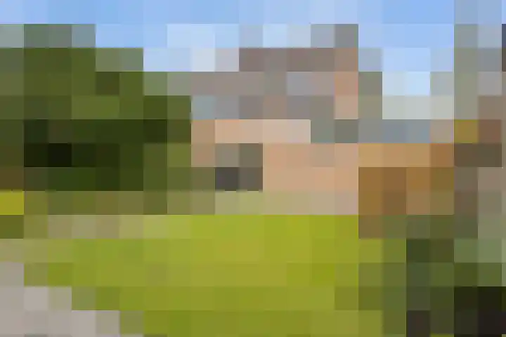 Mondsteen 3 Delfzijl thumbnail 10