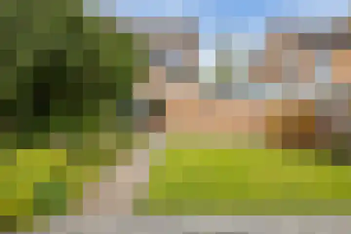Mondsteen 3 Delfzijl thumbnail 11