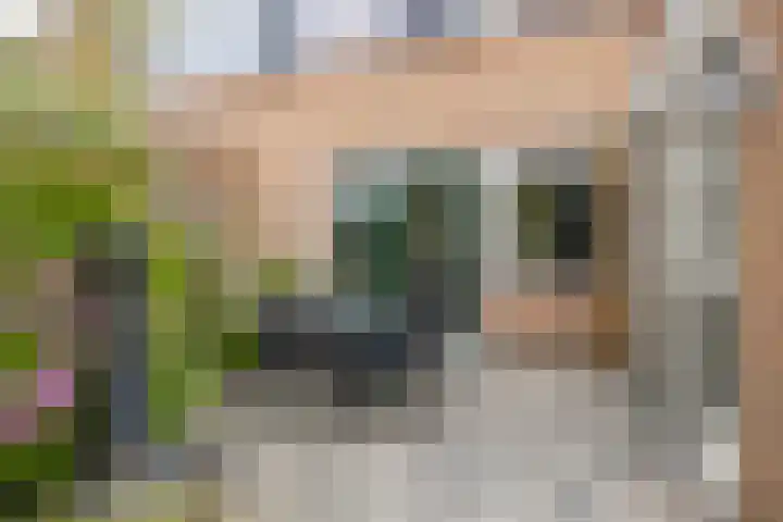 Mondsteen 3 Delfzijl thumbnail 13