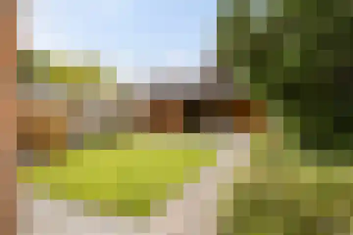Mondsteen 3 Delfzijl thumbnail 15