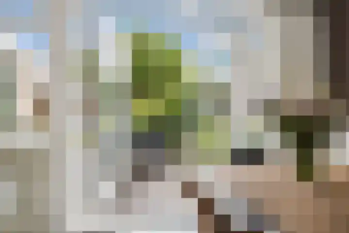 Mondsteen 3 Delfzijl thumbnail 5