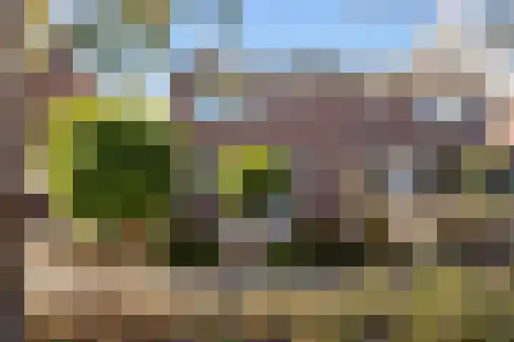 Mondsteen 31 Delfzijl thumbnail 10
