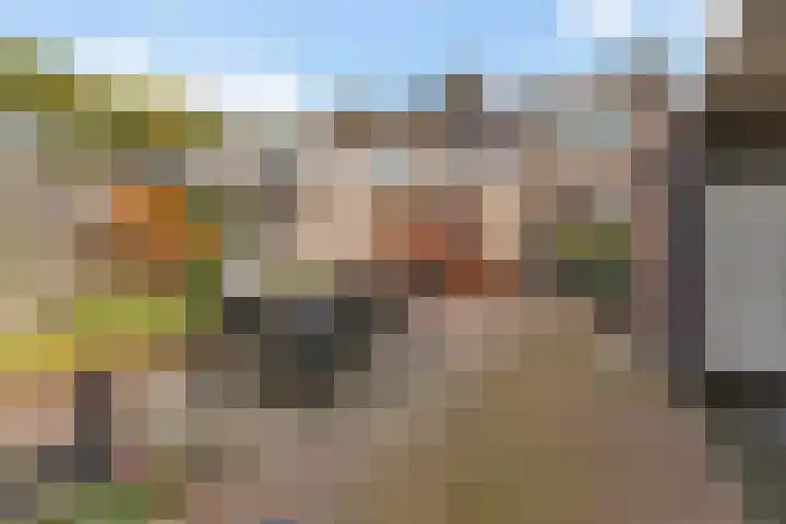 Mondsteen 31 Delfzijl thumbnail 11