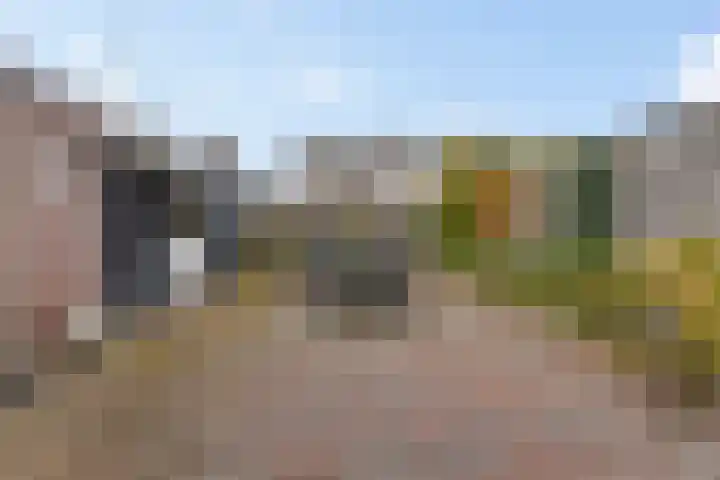 Mondsteen 31 Delfzijl thumbnail 15