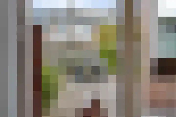 Mondsteen 31 Delfzijl thumbnail 31