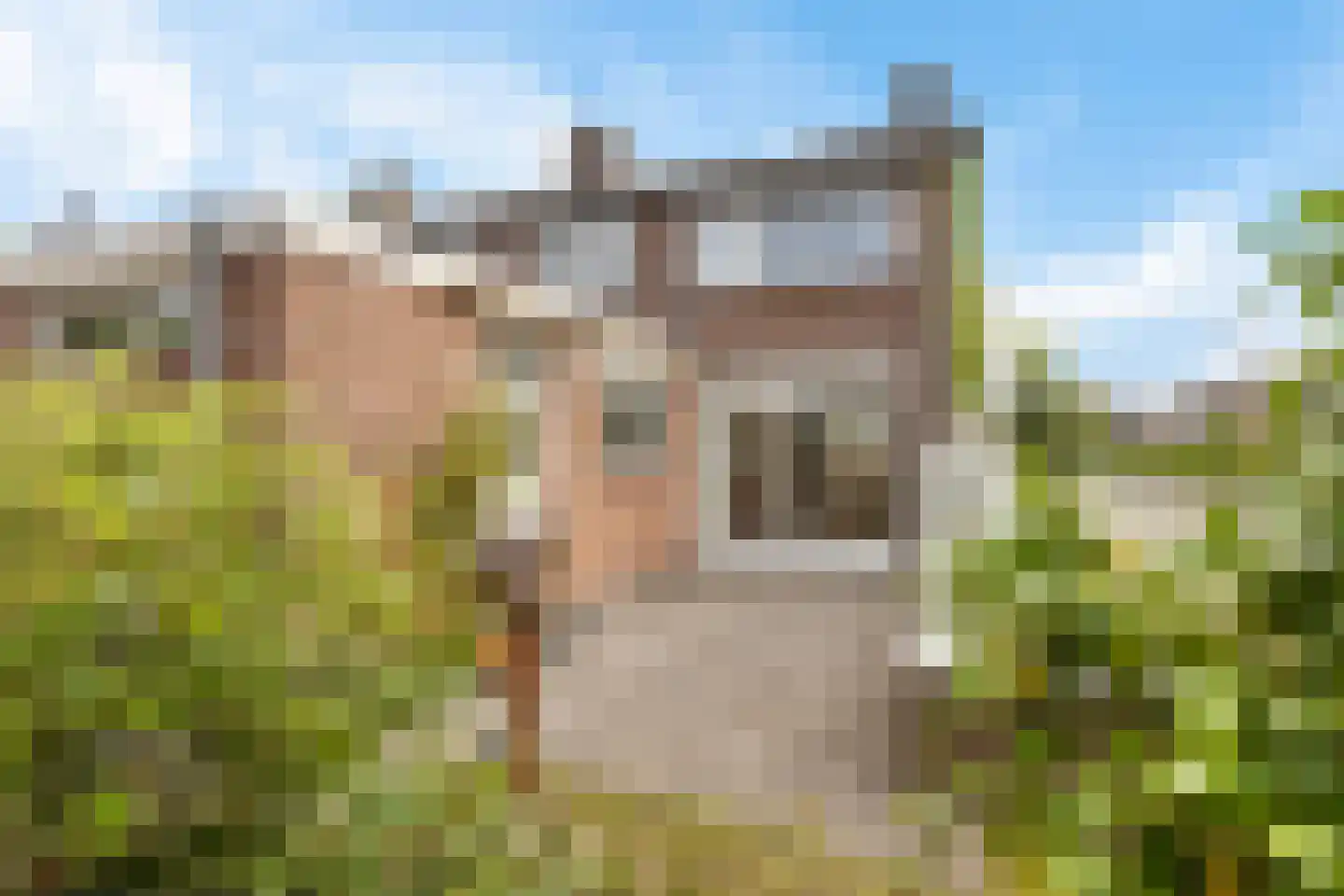 Mondsteen 39 Delfzijl thumbnail 12