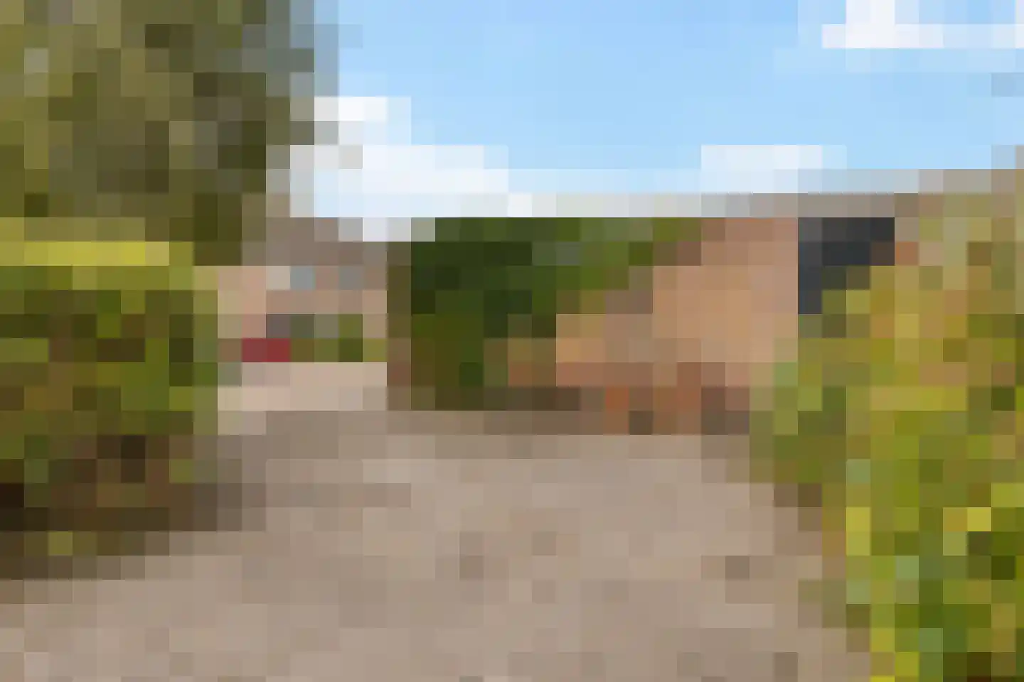 Mondsteen 39 Delfzijl thumbnail 17