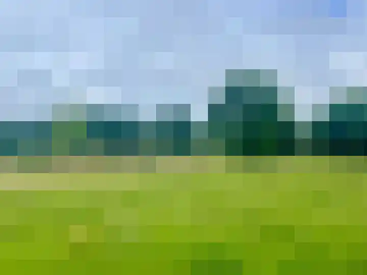 Mondsteen 43 Delfzijl thumbnail 12