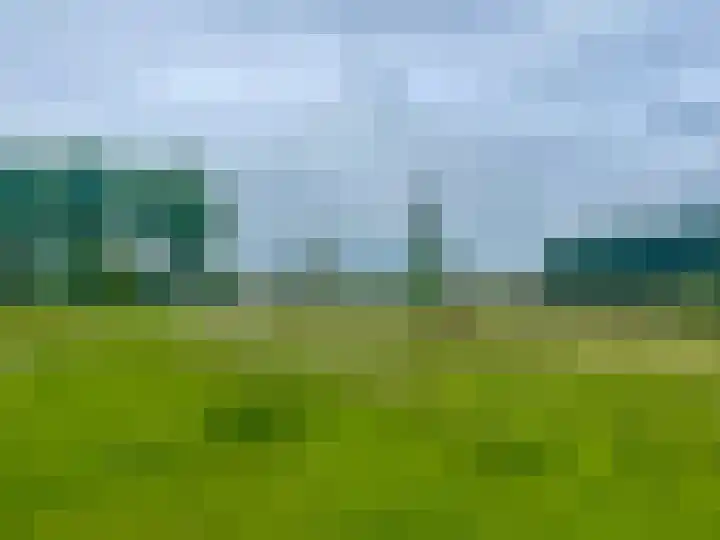 Mondsteen 43 Delfzijl thumbnail 13