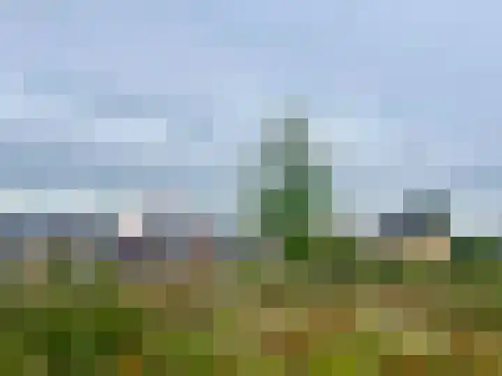 Mondsteen 43 Delfzijl thumbnail 8