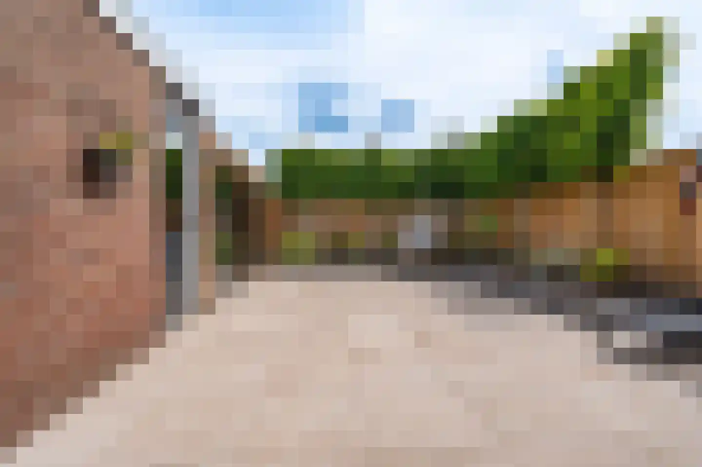 Mondsteen 51 Delfzijl thumbnail 13