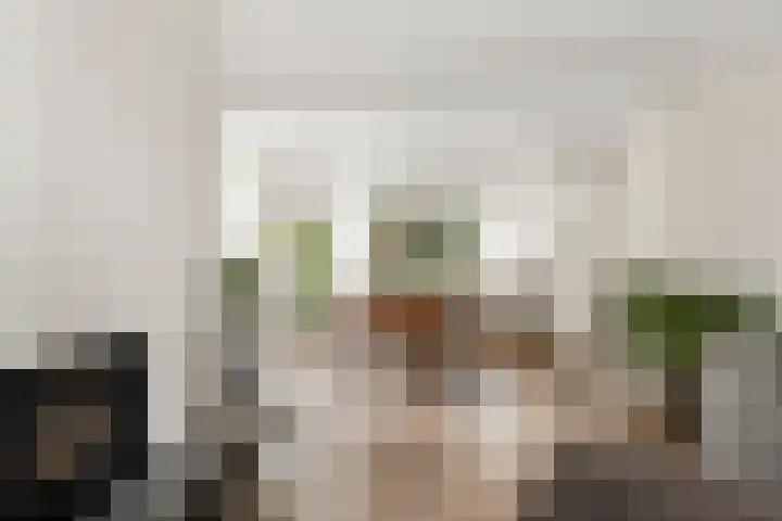 Mondsteen 6 Delfzijl thumbnail 31