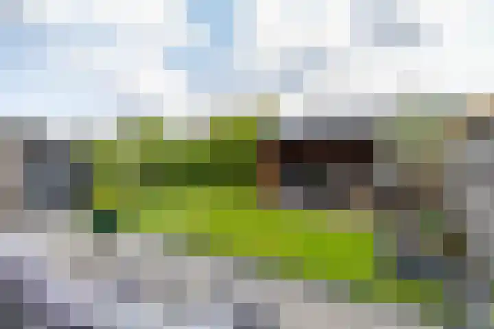 Mondsteen 6 Delfzijl thumbnail 38
