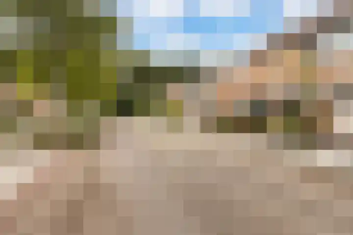 Mondsteen 7 Delfzijl thumbnail 11