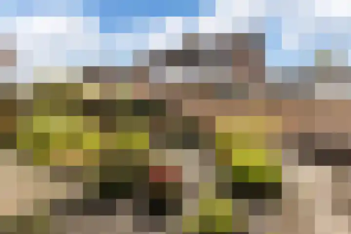 Mondsteen 7 Delfzijl thumbnail 12