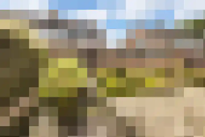 Mondsteen 7 Delfzijl thumbnail 14