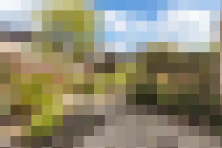 Mondsteen 7 Delfzijl thumbnail 15