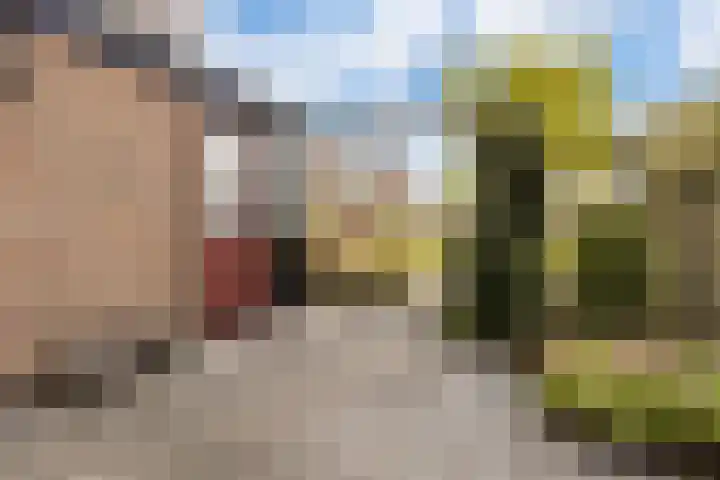Mondsteen 7 Delfzijl thumbnail 17