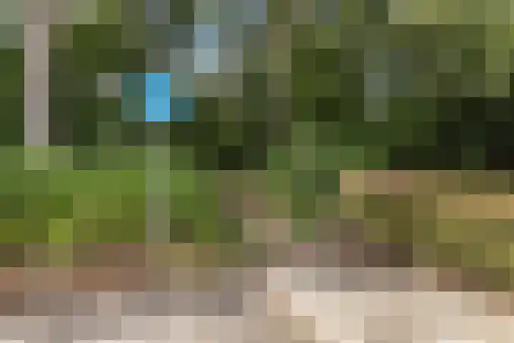 Mondsteen 7 Delfzijl thumbnail 7