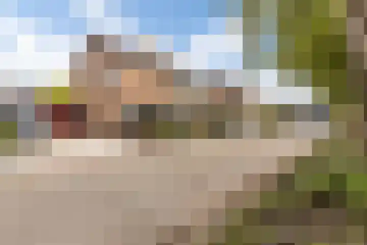 Mondsteen 7 Delfzijl thumbnail 8