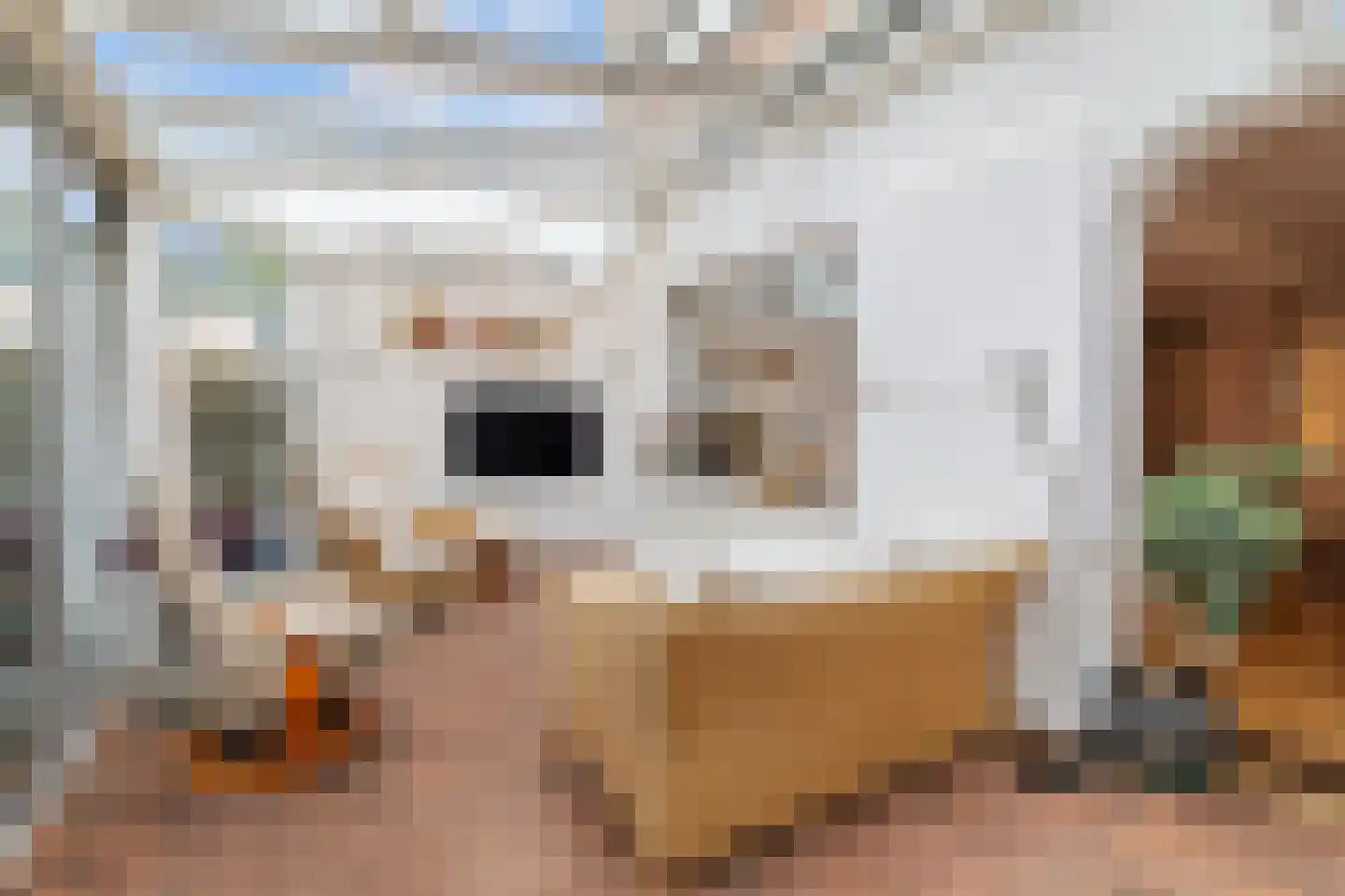 Monetastraat 17 Castricum thumbnail 20