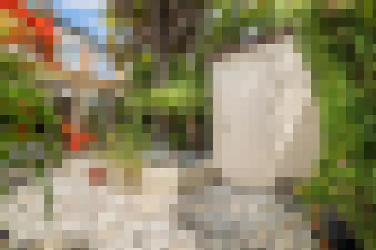 Monetastraat 17 Castricum thumbnail 26