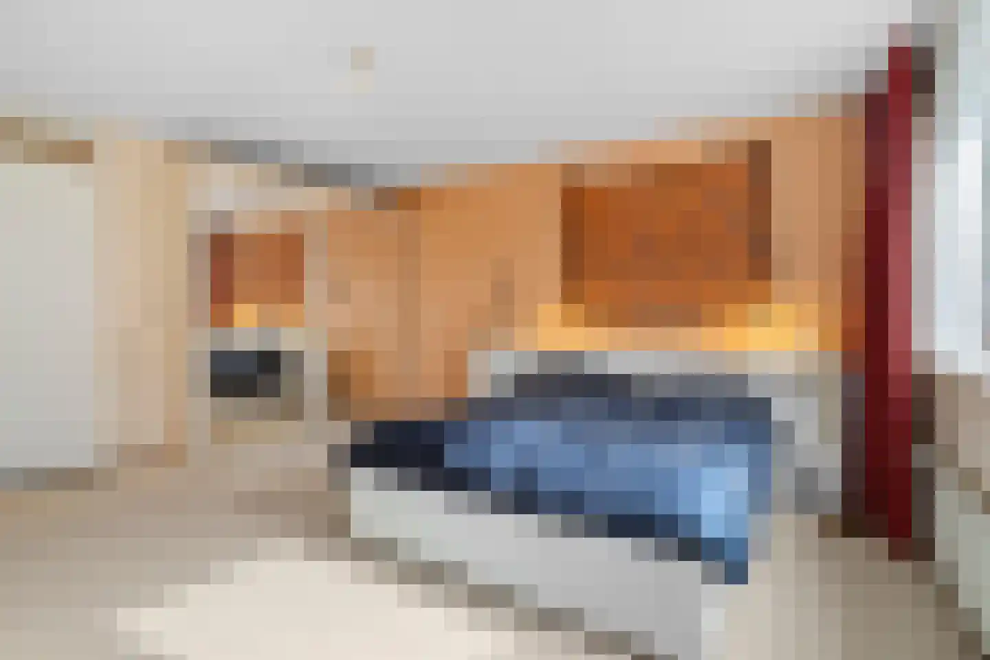 Monetastraat 17 Castricum thumbnail 32