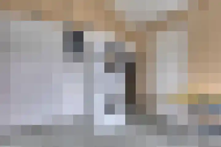 Monethof 66 Hoorn thumbnail 27